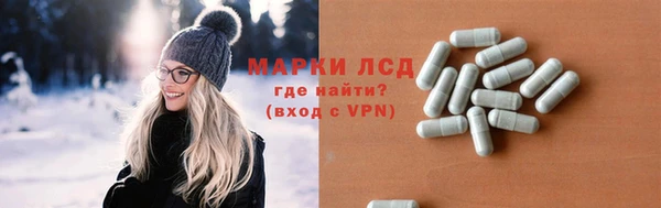 spice Алзамай