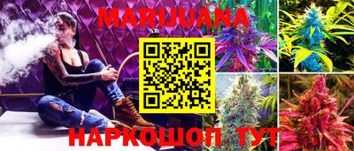 кокс Нальчик