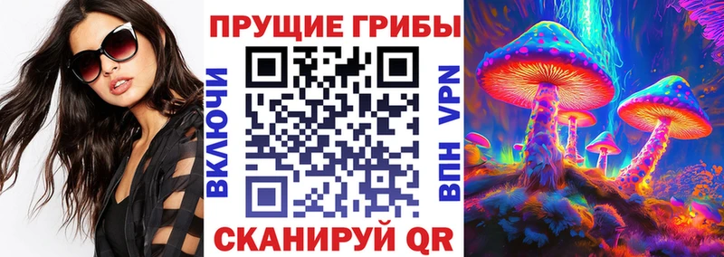 Псилоцибиновые грибы мухоморы  MEGA рабочий сайт  Бирск  где купить  