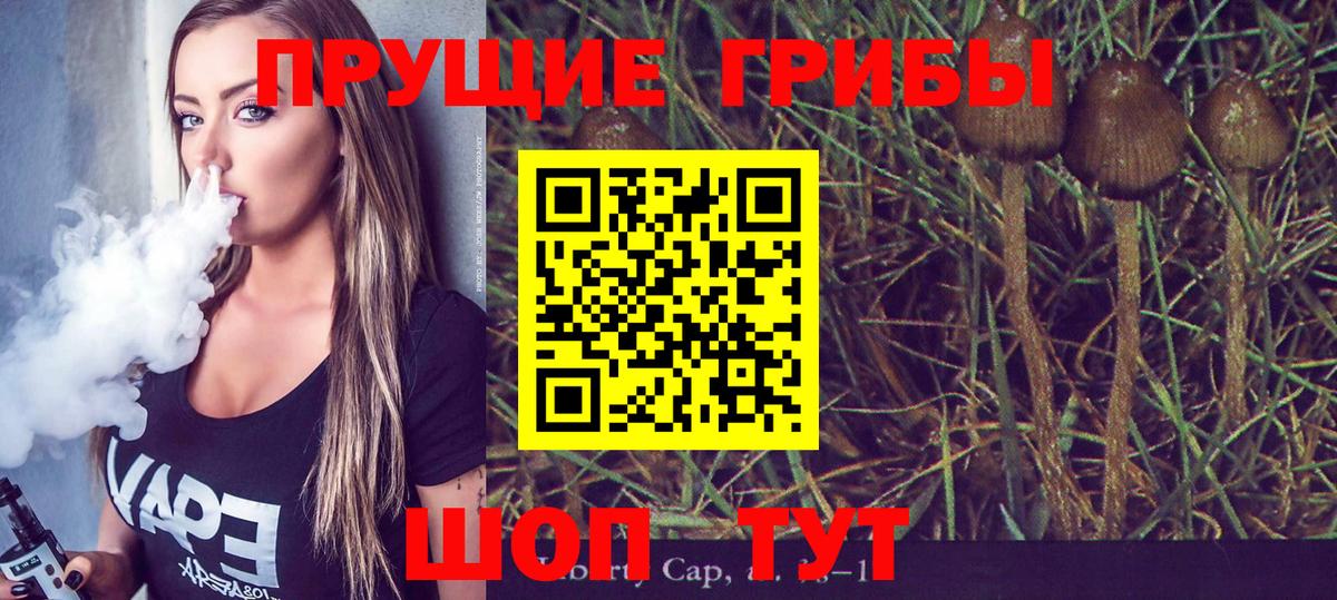 Галлюциногенные грибы Psilocybe  Вход с VPN  Бирск 